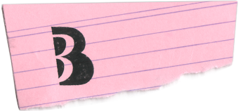 Bildbunt
